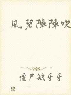 风儿阵阵吹封面
