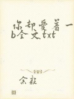 你却爱着一个sb全文txt封面