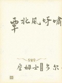 西北风呼啸的中午