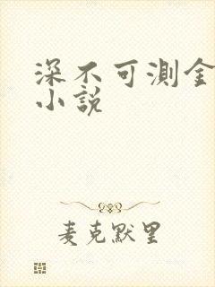 深不可测金银花小说