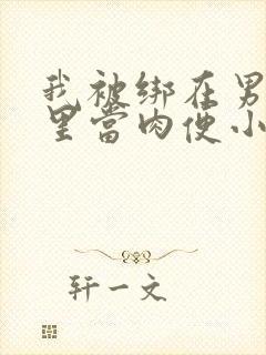 我被绑在男公厕里当肉便小说