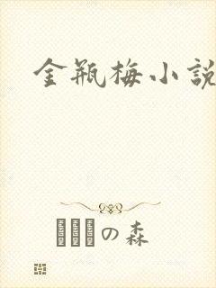 金瓶梅小说在线