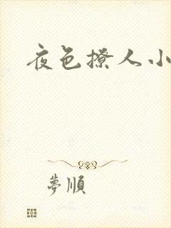 夜色撩人小说