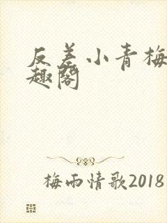 反差小青梅 笔趣阁