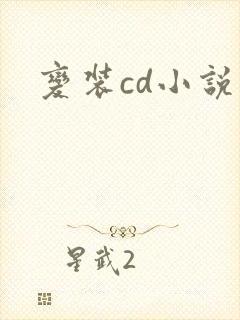 变装cd小说封面