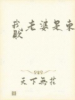 我老婆是东方不败
