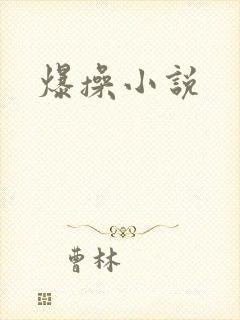 爆操小说封面