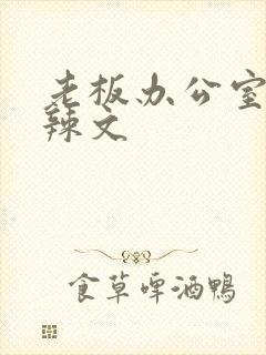 老板办公室系列辣文