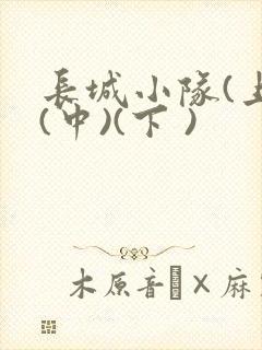 长城小队(上)(中)(下 )
