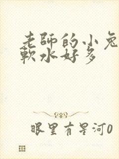 老师的小兔子好软水好多