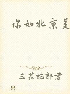 你如北京美丽