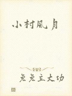 小村风月封面
