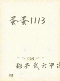 蛋蛋1113