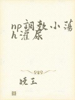 np调教小荡货h灌尿