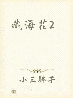 藏海花2