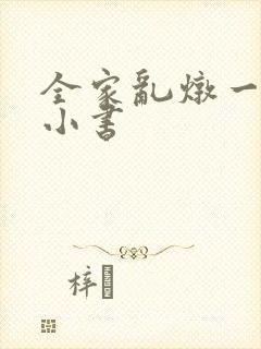 全家乱炖一锅烩小书
