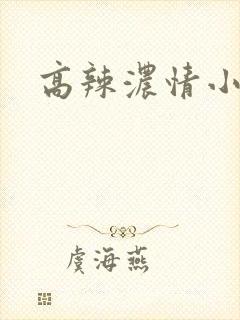 高辣浓情小说