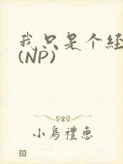 我只是个经纪人(NP)