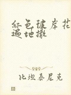 红色彼岸花花瓣遍地撒