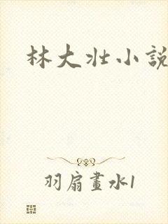 林大壮小说阅读