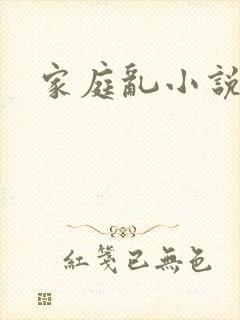 家庭乱小说封面