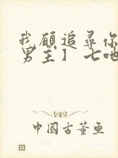 我愿追寻你【双男主】 七吔