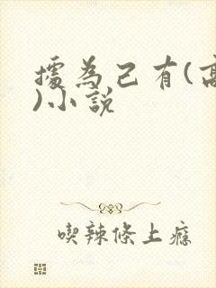 据为己有(高干)小说