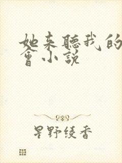 她来听我的演唱会小说