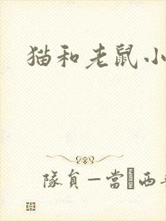 猫和老鼠小说