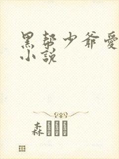 黑帮少爷爱上我小说封面