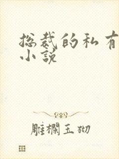 总裁的私有宝贝小说