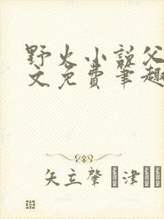 野火小说父女全文免费笔趣阁