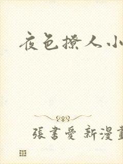 夜色撩人小说