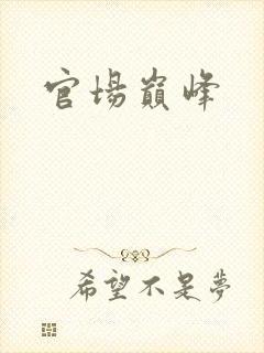 官场巅峰封面