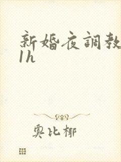 新婚夜调教1v1h