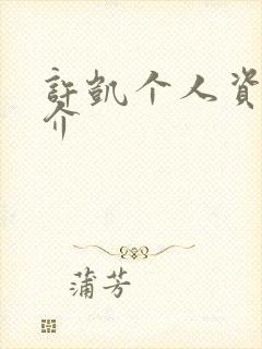 许凯个人资料简介封面