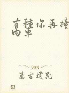 有种你再撞一下肉车