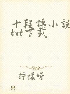 十段锦小说全本txt下载
