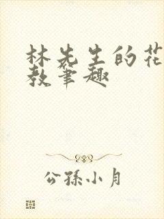 林先生的花式管教笔趣