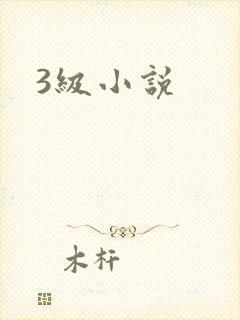 3级小说