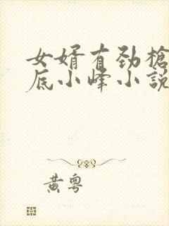 女婿有劲枪枪到底小峰小说