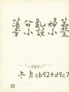 荡公乱妇第51章小说小莹封面