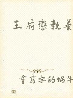 王府惩教养日常