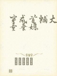 穿成首辅大人的童养媳