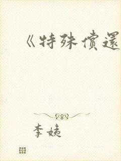 《特殊偿还》封面