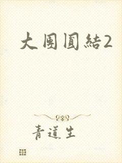 大团圆结2