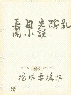 长日光阴乱作一团小说