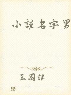 小说名字男生