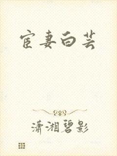 宦妻白芸封面
