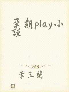 孕期play小说